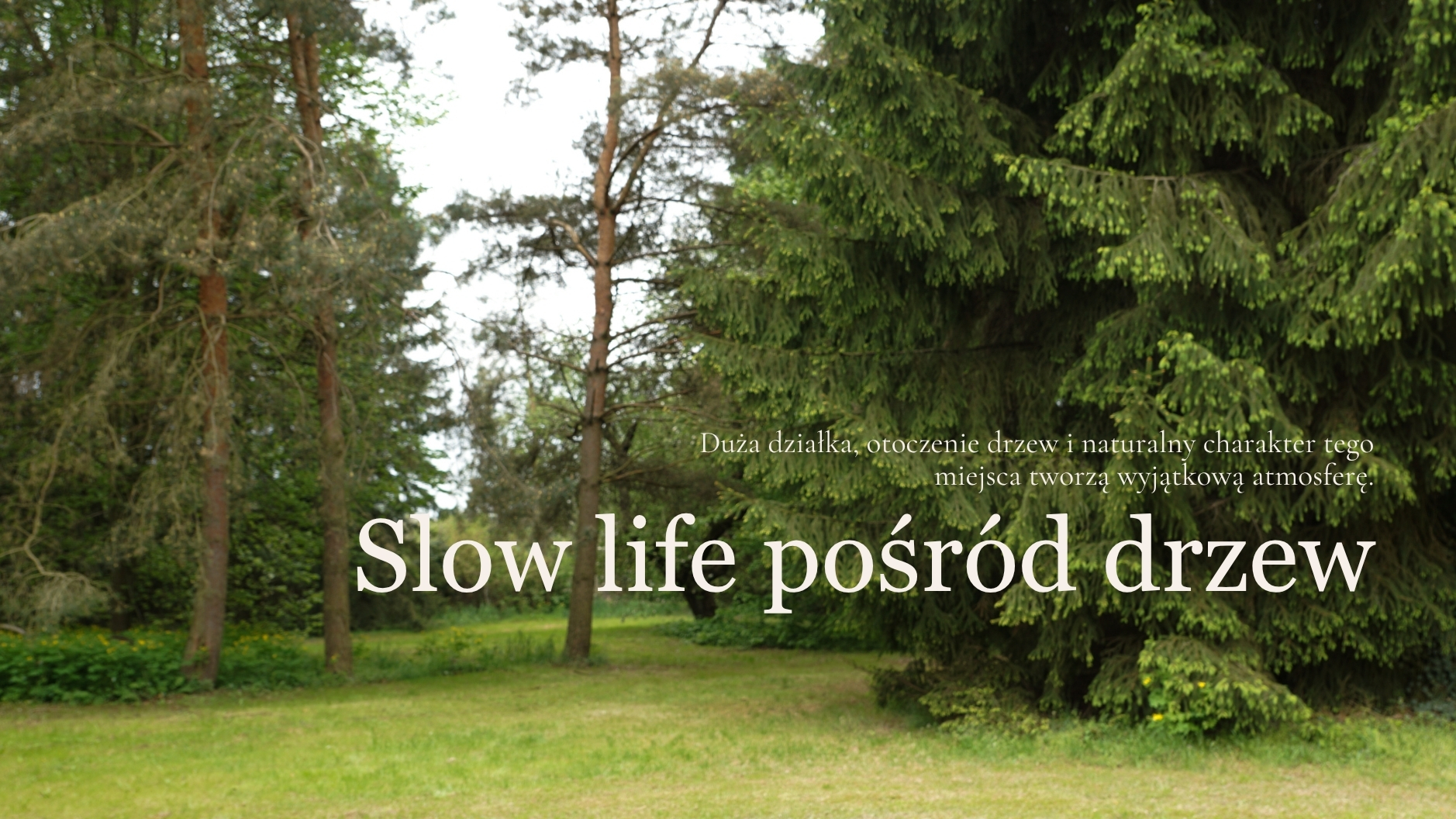 Starodrzew i ogród